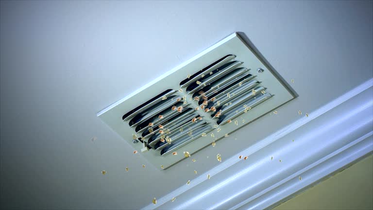 Best Local Air Duct Cleaning Services  in Camden, OH
