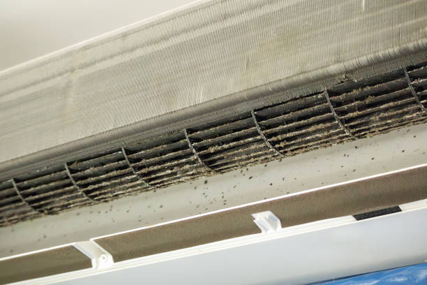 Best Air Duct Cleaning Near Me  in Camden, OH
